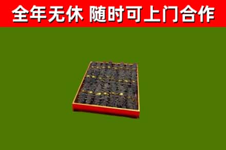 连南烟酒回收海参.jpg